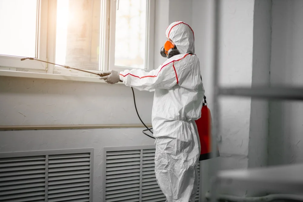 Professional mold remediation services in Marco Island, FL